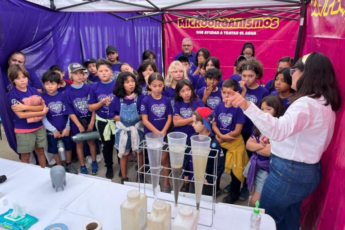 REALIZA CESPT COSECHA SIMBÓLICA DE UVA EN VIÑEDO EXPERIMENTAL “LA MORITA