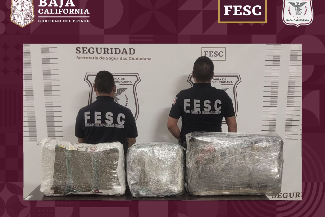 ASEGURA FESC 24 KILOS DE MARIHUANA EN TIJUANA