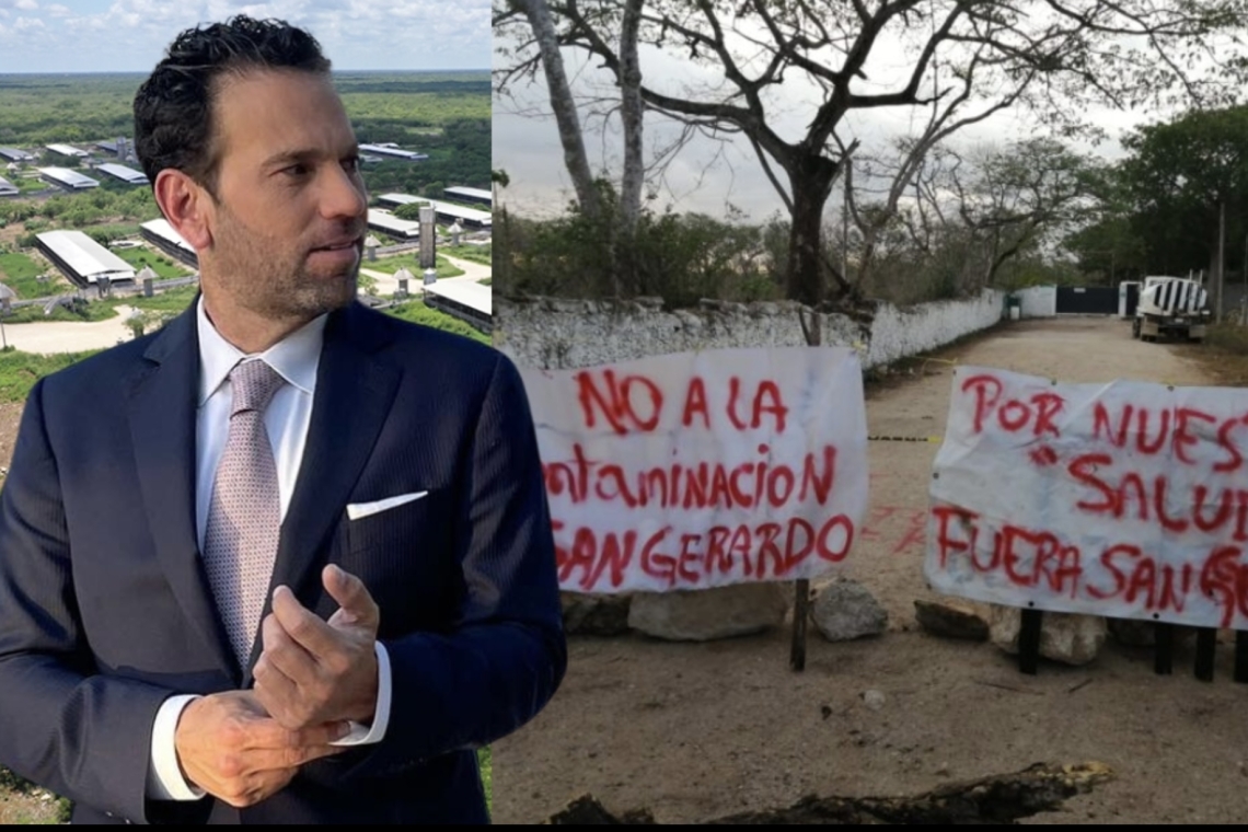 SUSPENDEN MEGA GRANJA DE CERDOS DE LOS LORET DE MOLA