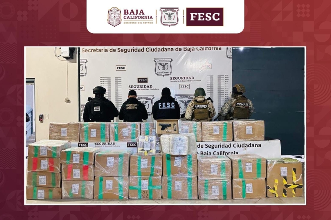 CONFISCAN ESTADO Y EJÉRCITO, CARGAMENTO DE DROGA 