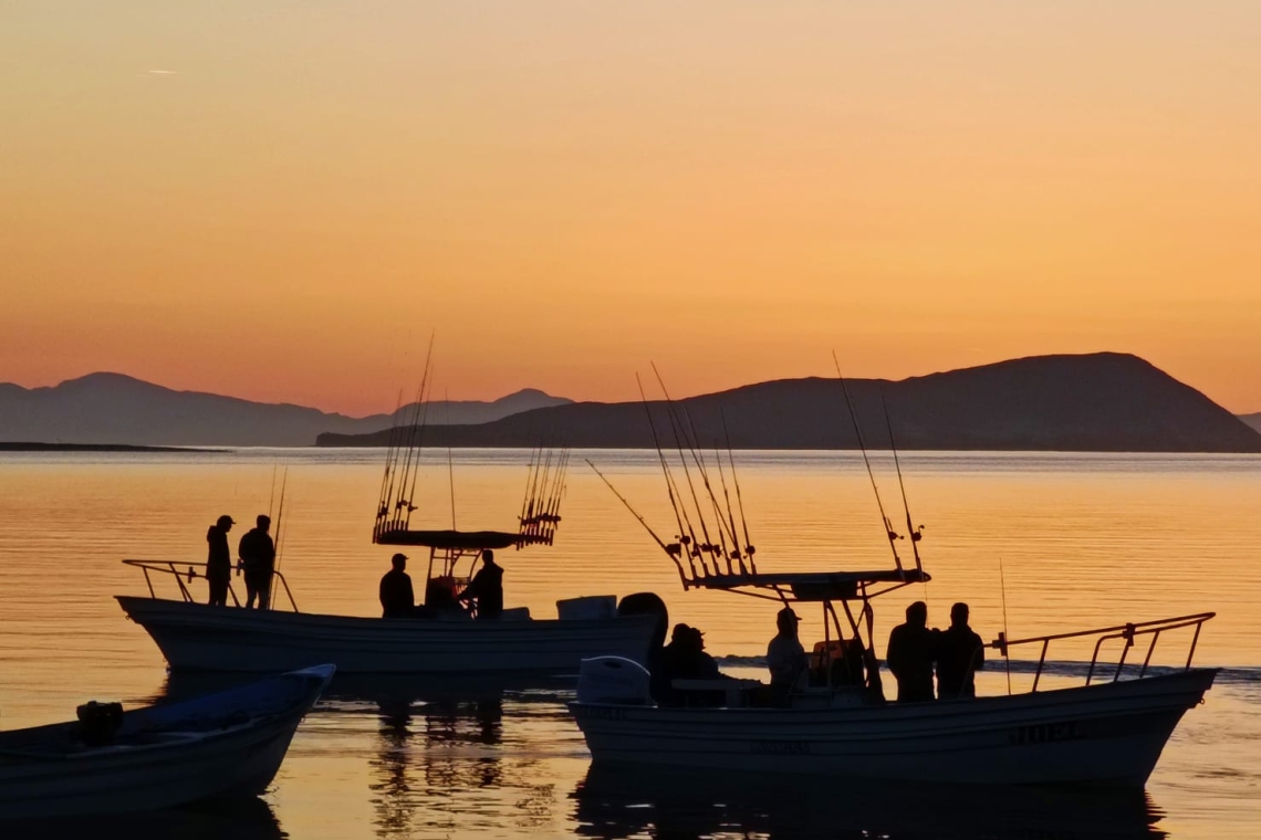 TORNEO DE PESCA EN BAHÍA DE LOS ANGELES 