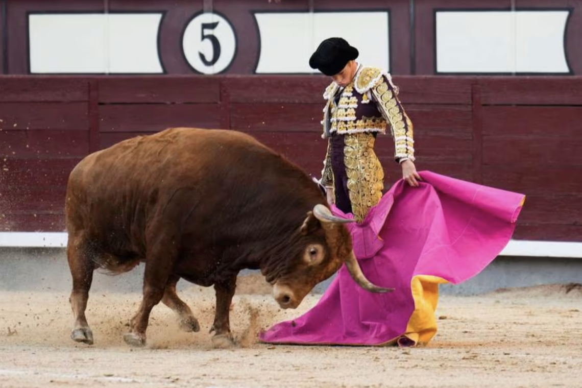 OTRAS PRÁCTICAS TAURINAS QUE QUEDARÍAN PROHIBIDAS JUNTO CON LAS CORRIDAS DE TOROS 