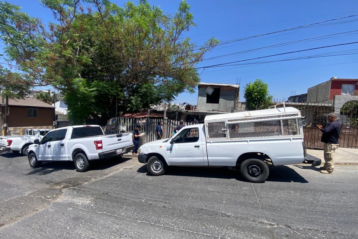 ONCE CANINOS FUERON RESCATADOS POR LA FGE TRAS UN CATEO EN LA COLONIA EL PÍPILA