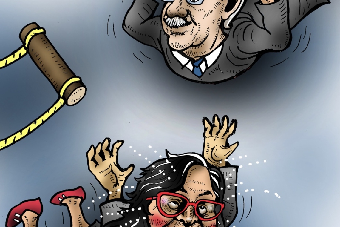 Cartón de Guayo