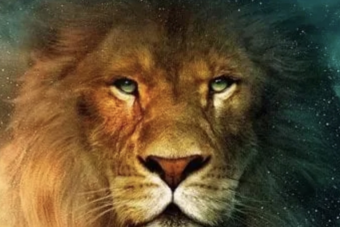 Qué animal espiritual te protege según tu fecha de nacimiento