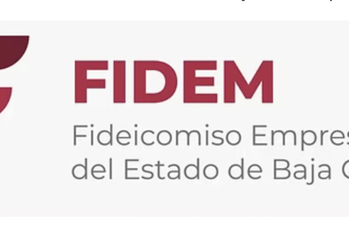 FIDEM ya sin recursos