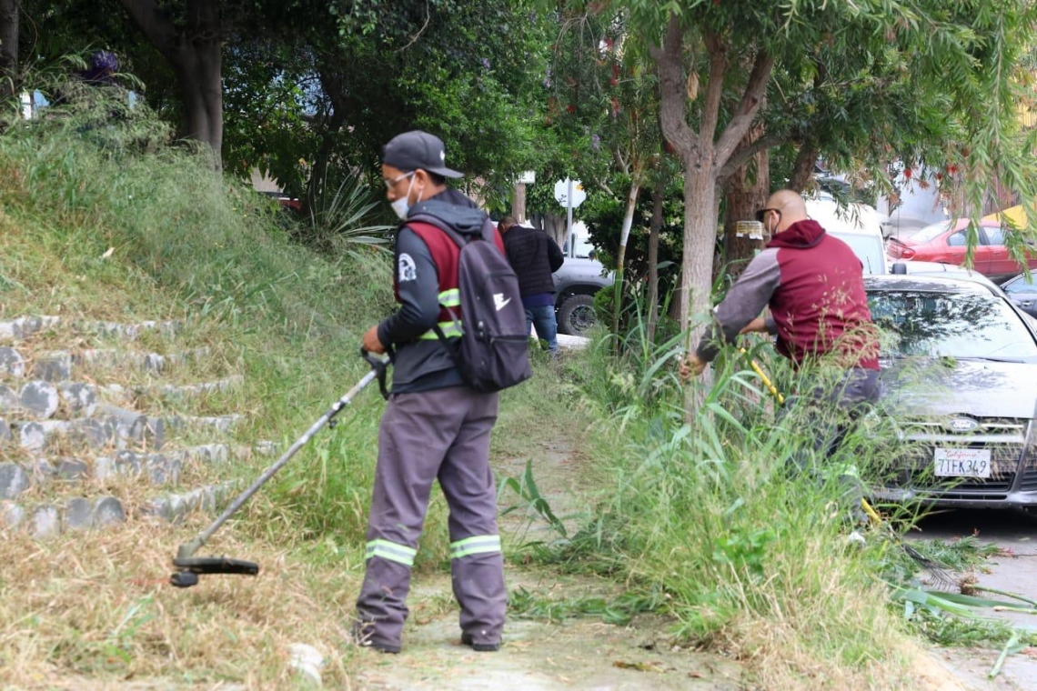 Avanza gobierno de Ismael Burgueño en la transformación del municipio con ‘Tijuana Ciudad Limpia’