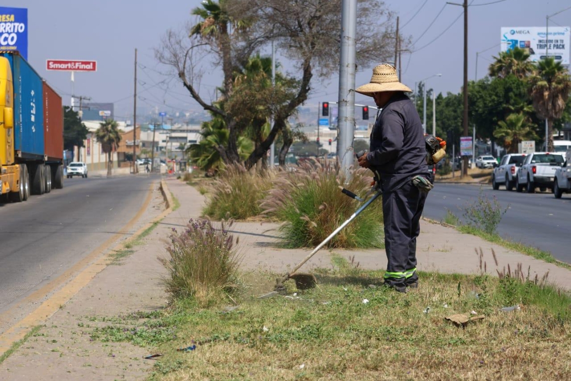 Beneficia ‘Tijuana Ciudad Limpia’ a más de 8 mil habitantes de las colonias México Lindo, Guaycura y Tomás Aquino