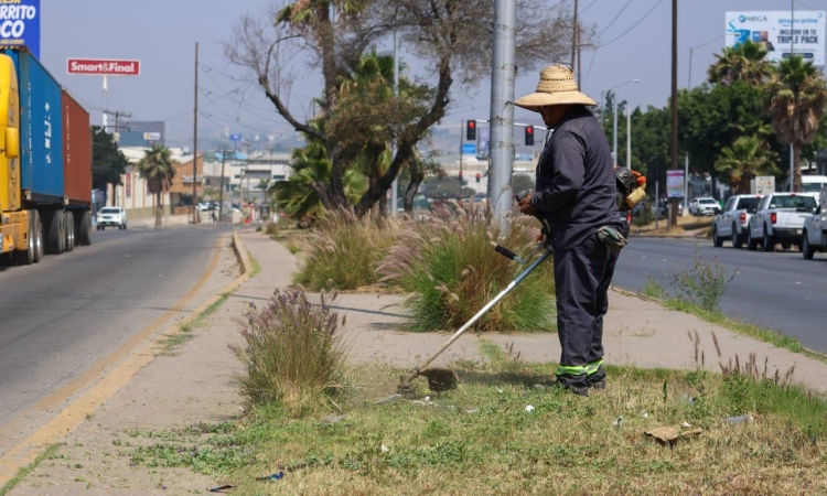 Beneficia ‘Tijuana Ciudad Limpia’ a más de 8 mil habitantes de las colonias México Lindo, Guaycura y Tomás Aquino