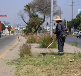 Ya debe 74 mil millones Mientras Salinas Pliego patalea con el SAT, su deuda subió 11 mil millones en un año