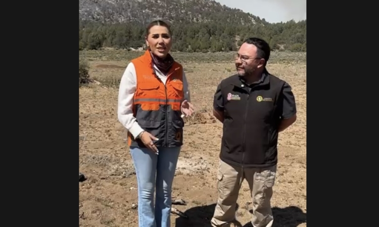 Con helicópteros, Durango y  BCS, combaten incendios en Tecate