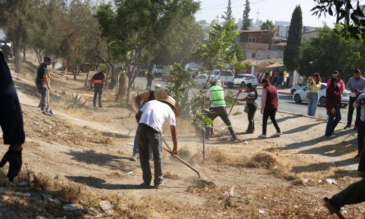 Encabeza Ismael Burgueño Ruiz Macro Jornada de Limpieza en la Zona Este de Tijuana