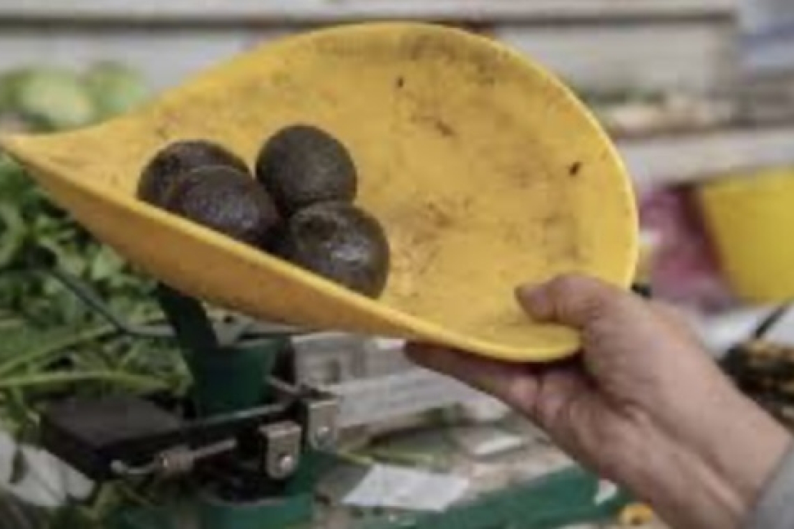 Varían los aranceles de tomate y aguacate 