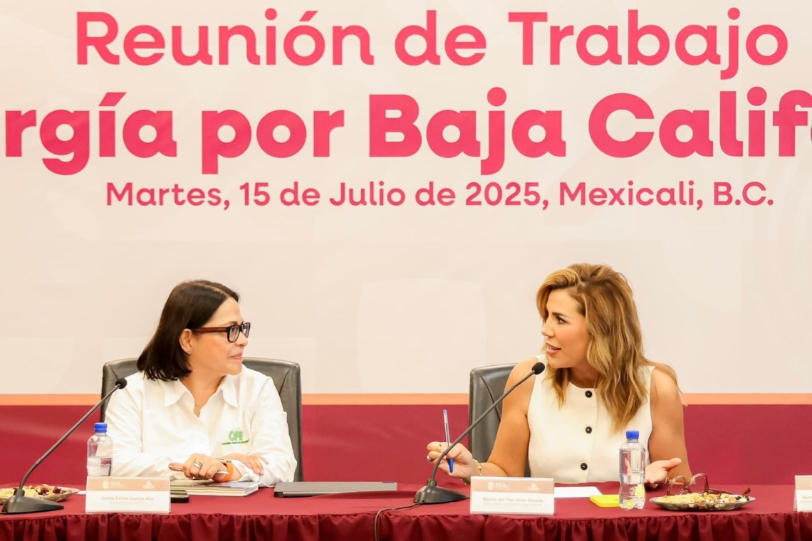 CFE y Estado, buscan solucion a apagones
