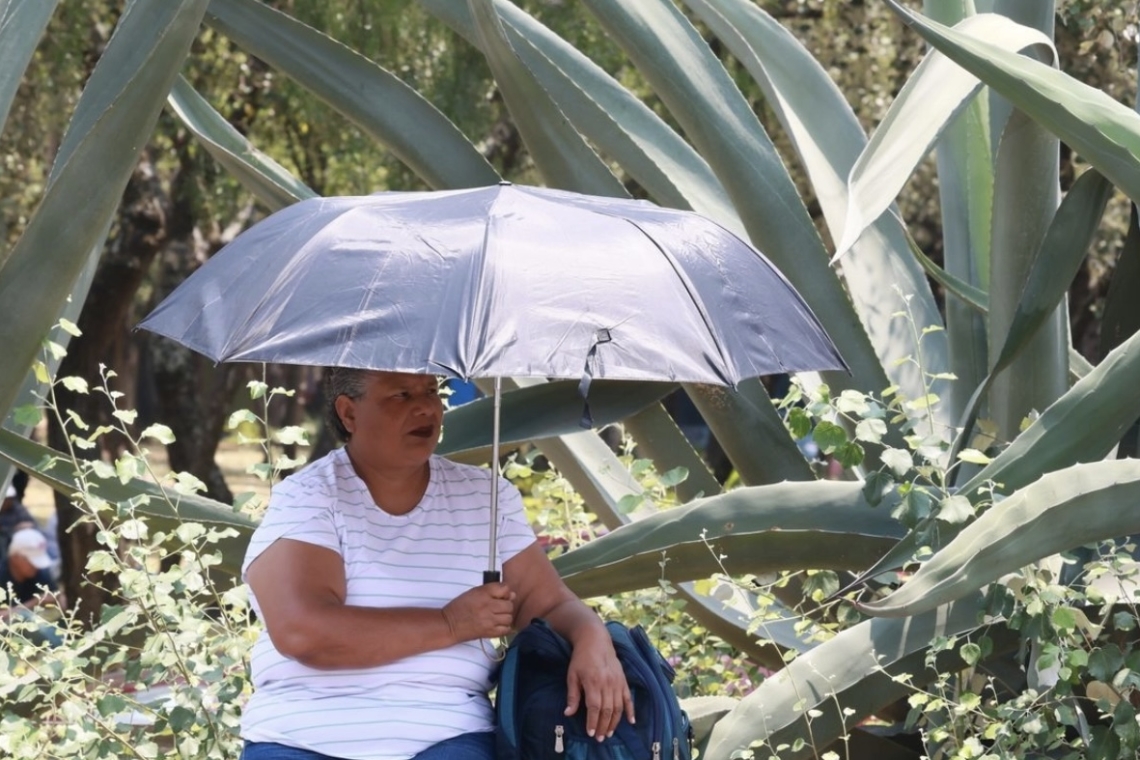 Canícula en Mexicali ha roto ocho veces el récord de temperaturas extremas