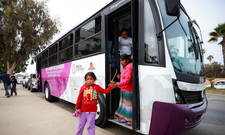 A Playas de Rosarito, se amplia Transporte Violeta