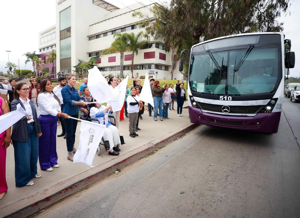 marina del pilar transporte violeta ensenada 2