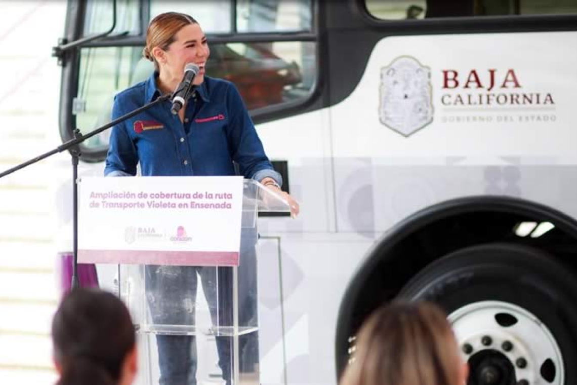 TRANSPORTE VIOLETA SUPERA LOS 10 MILLONES DE TRASLADOS Y CONSOLIDA SU EXPANSIÓN EN BAJA CALIFORNIA: GOBERNADORA MARINA DEL PILAR