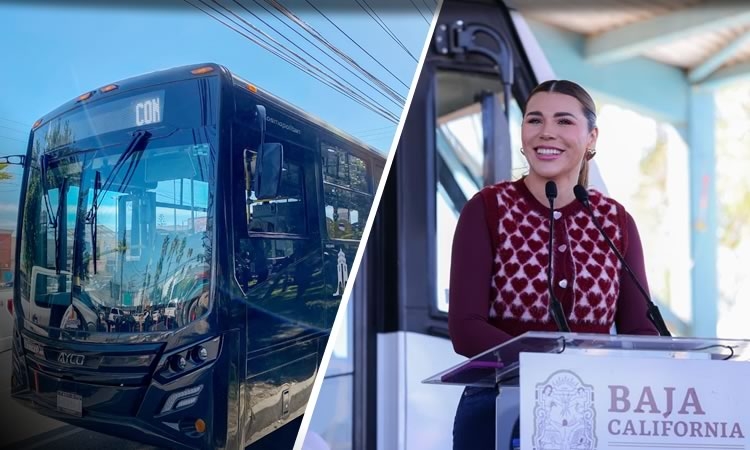 CAPACITA GOBIERNO DE MARINA DEL PILAR A MÁS DE 7 MIL OPERADORES PARA FORTALECER UN TRANSPORTE PÚBLICO DIGNO Y SEGURO