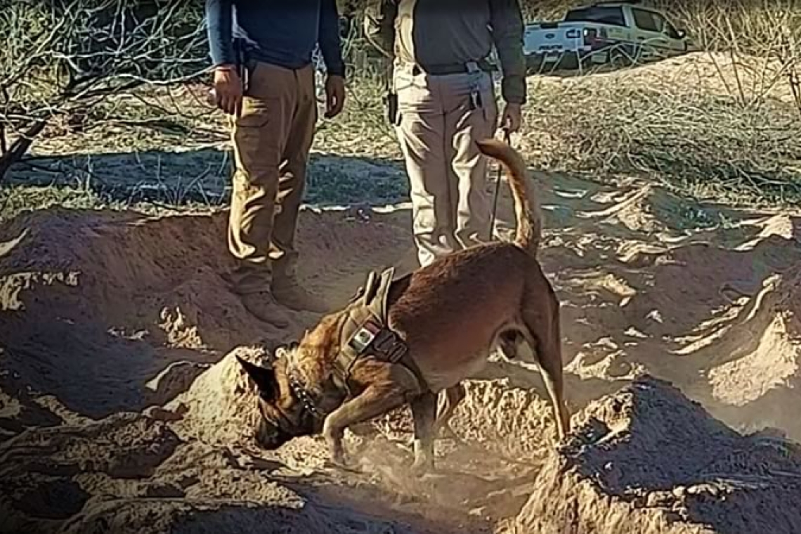 Aparece víctima 25 en el Miguel Alemán