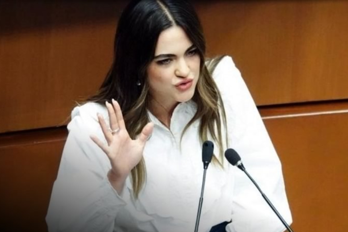Senado otorga licencia por tiempo indefinido a la morenista Andrea Chávez