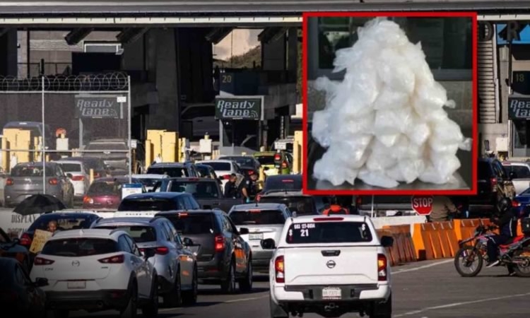 Decomisan 2.8 millones de dólares en fentanilo en el cruce de San Ysidro