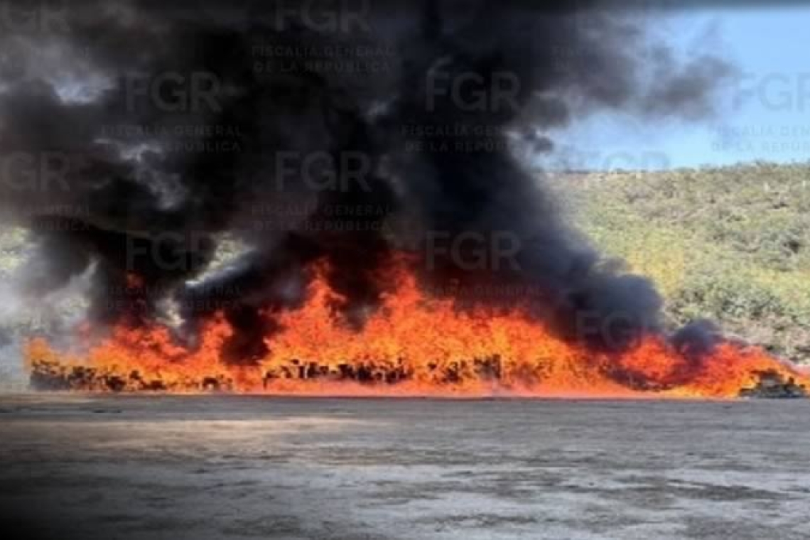 FGR LLEVA A CABO INCINERACIÓN DE MÁS DE 12 TONELADAS DE NARCÓTICO