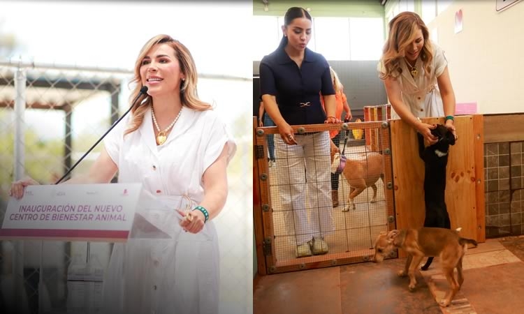 SUMA BAJA CALIFORNIA UN NUEVO HOGAR DE BIENESTAR PARA PERROS Y GATOS EN TECATE