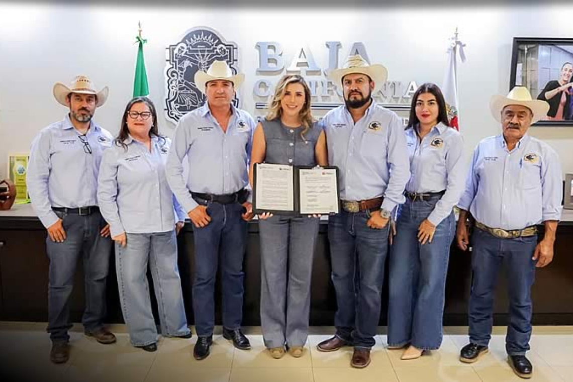 ACUERDA GOBIERNO DE BAJA CALIFORNIA APOYO A PRODUCTORES DE TRIGO CRISTALINO CON MIL 500 PESOS POR HECTÁREA