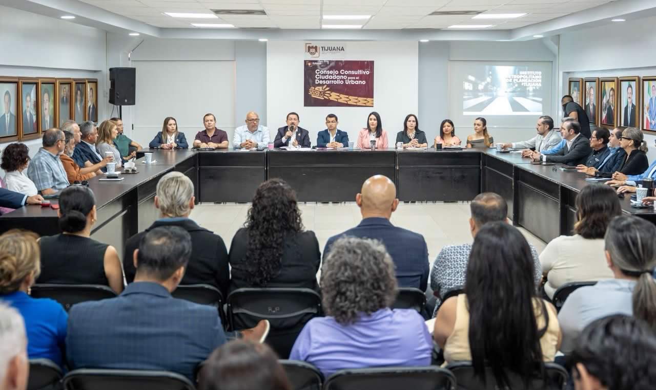 consejo consultivo 1