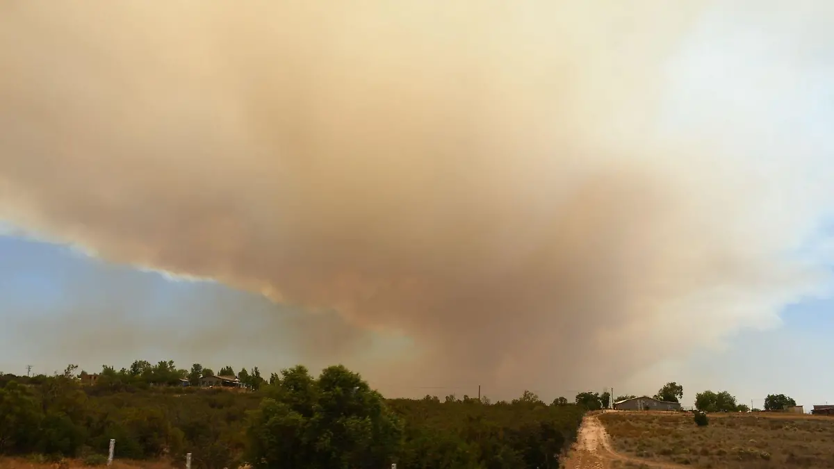 humo